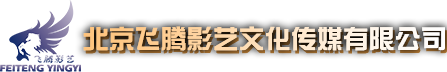 吊威亚公司-飞腾影艺文化-威亚设备厂家 威亚设计制作
